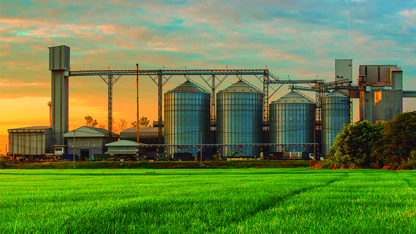Importantes mejoras en eficiencia en la agroindustria