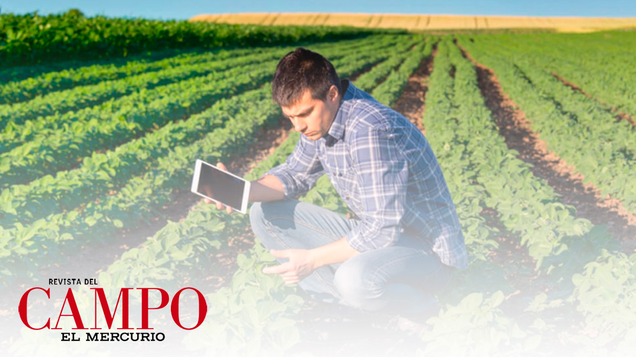 Revista El Campo de El Mercurio