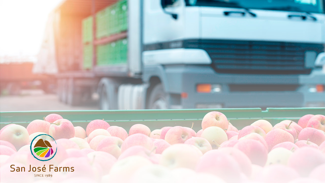 San José Farms in Chile: "With Wherex we were able to professionalize our bidding processes and make them more efficient and transparent".