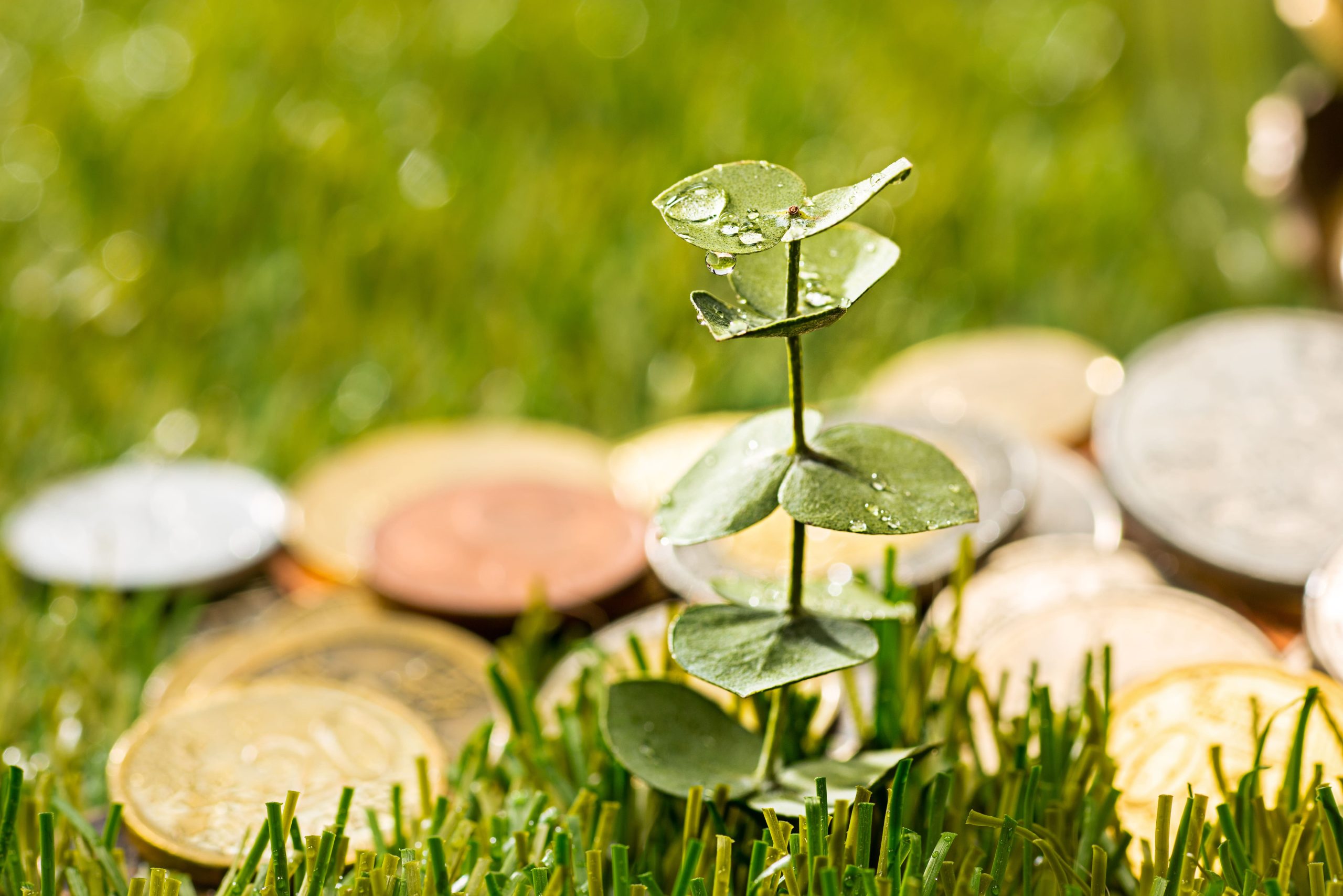 Sostenibilidad vs Rentabilidad: Rompiendo el mito en el Procurement